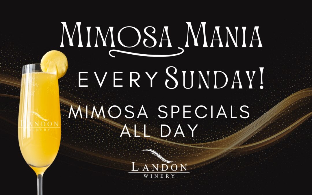 Mimosa Mania Sunday Grapevine